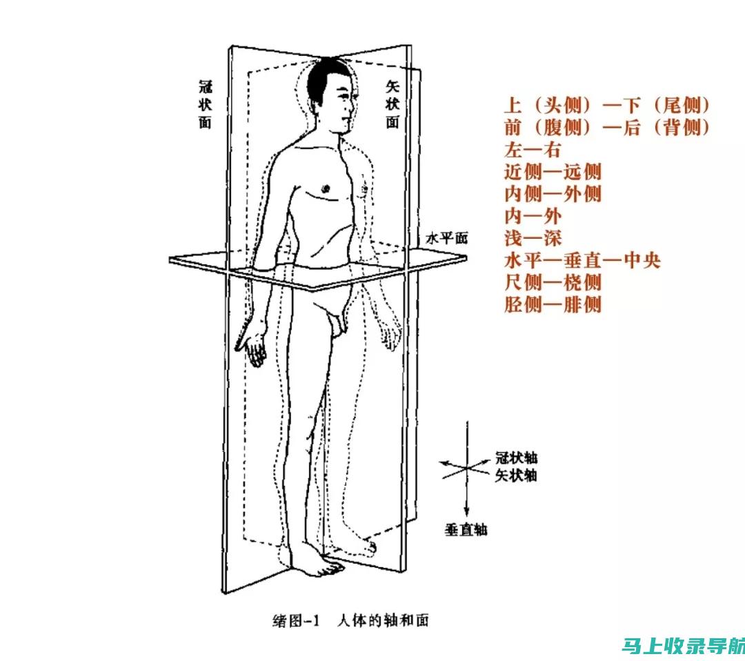 全方位解析SEO搜索引擎优化在招商中的价值与应用