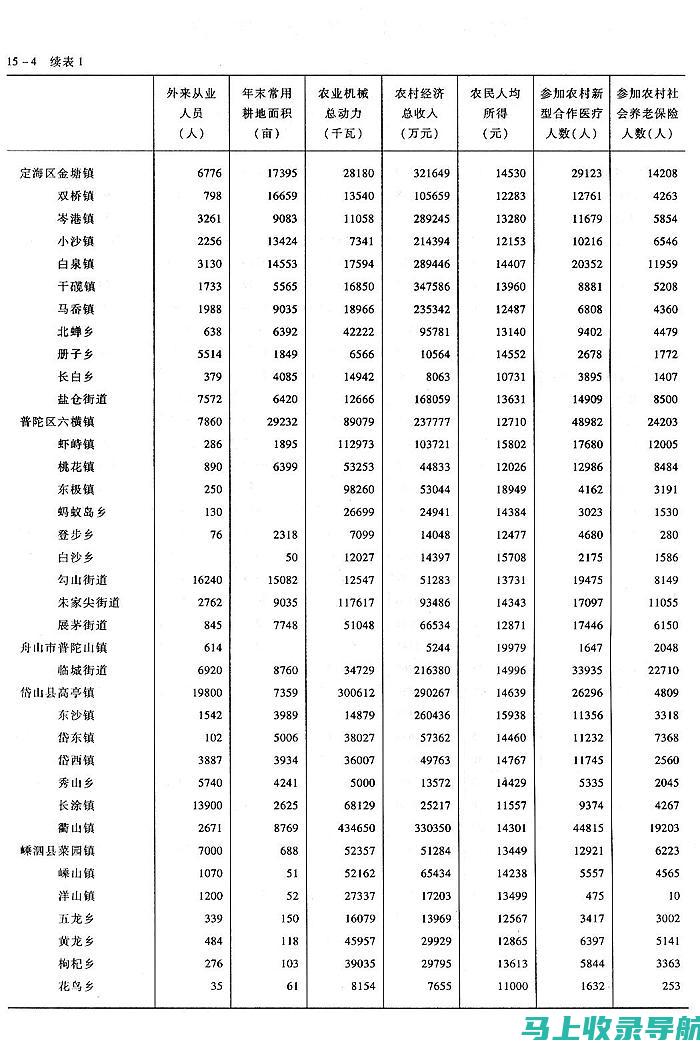 乡镇统计站长的工作业绩与挑战：述职报告中的洞察与反思