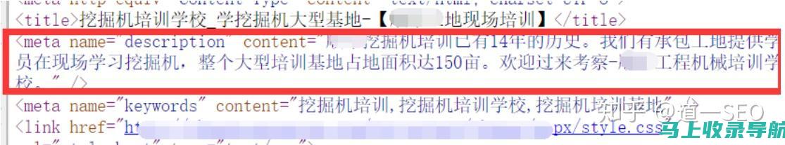 SEO查询实战指南：掌握搜索引擎优化的核心技巧